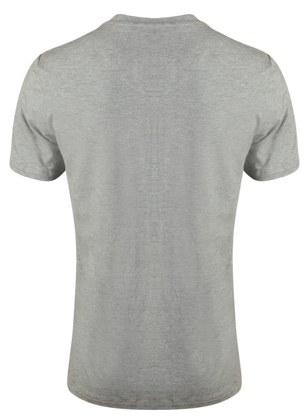 Bamboo T-Shirt V-Neck Regular Fit Grey - Natural Clothes Bamboo Clothing & Accessories for Men & Women 